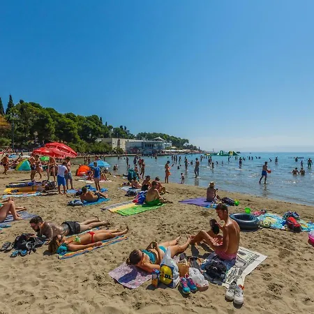 Luxury Arc 아파트 *